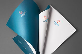 長(zhǎng)帆集團(tuán)企業(yè)形象設(shè)計(jì)與國(guó)內(nèi)貿(mào)易代理服務(wù)的整合策略